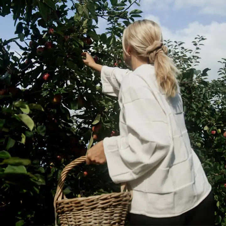 Frau pflückt Äpfel
