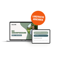 Laptop und Workbook Abnehmprogramm